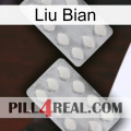 Liu Bian 17